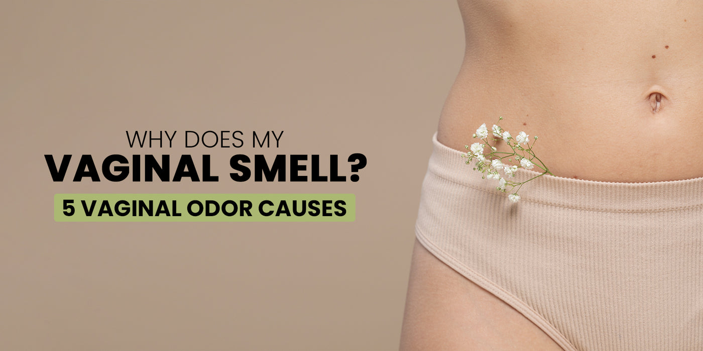 Why Does My Vaginal Smell? | Causes of Vaginal Odor – la-elega