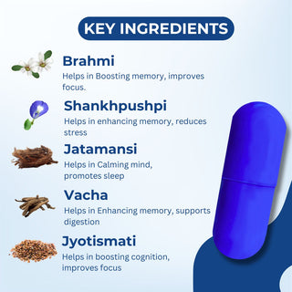 Dharmani's International Brahmpushpi Brain Support Capsules – Herbal Supplement for Memory, Focus & Mental Clarity – Cognitive Wellness for Men & Women – 60 Capsules