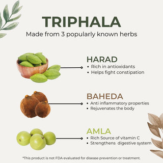 Dharmani's International Triphala Choorna – Ayurvedic Digestive Health Powder | Amla, Haritaki & Bibhitaki | Natural Detox & Immunity Booster | Pack of 6 x 50g | Triphala Churna 1 2 3 Ratio
