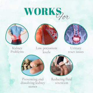 Dharmani's International UT Clear Syrup – Herbal Support for Kidney & Urinary Tract Health – 200 ml