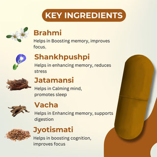 Dharmani's International Brain O Brain Capsules – Herbal Supplement for Memory, Focus & Mental Clarity – Supports Cognitive Wellness – 50 Capsules