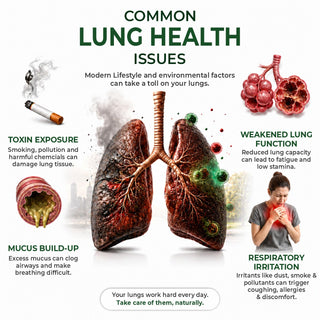 Dharmani's International Tussilene Lung Detox Capsules, 60 Capsules