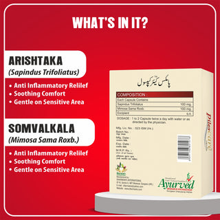 Dharmani's International PilesCare Ayurvedic Herbal Capsules | Traditional Herbal Wellness Support | Natural Plant‑Based Ingredients | Pack of 4