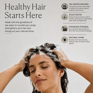 Tea Water Shampoo | For Hairfall Control & Hair Growth - 280 ml