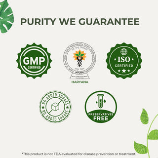 Dharmani's International Triphala Choorna – Ayurvedic Digestive Health Powder | Amla, Haritaki & Bibhitaki | Natural Detox & Immunity Booster | Pack of 6 x 50g | Triphala Churna 1 2 3 Ratio