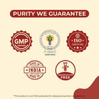 Dharmani's International Herbal Comfort Pilescare Ointment integration – Soothing Relief from Anal Discomfort & Irritation – Pack of 5 Tubes (10g Each)