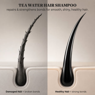 Tea Water Shampoo | For Hairfall Control & Hair Growth - 280 ml